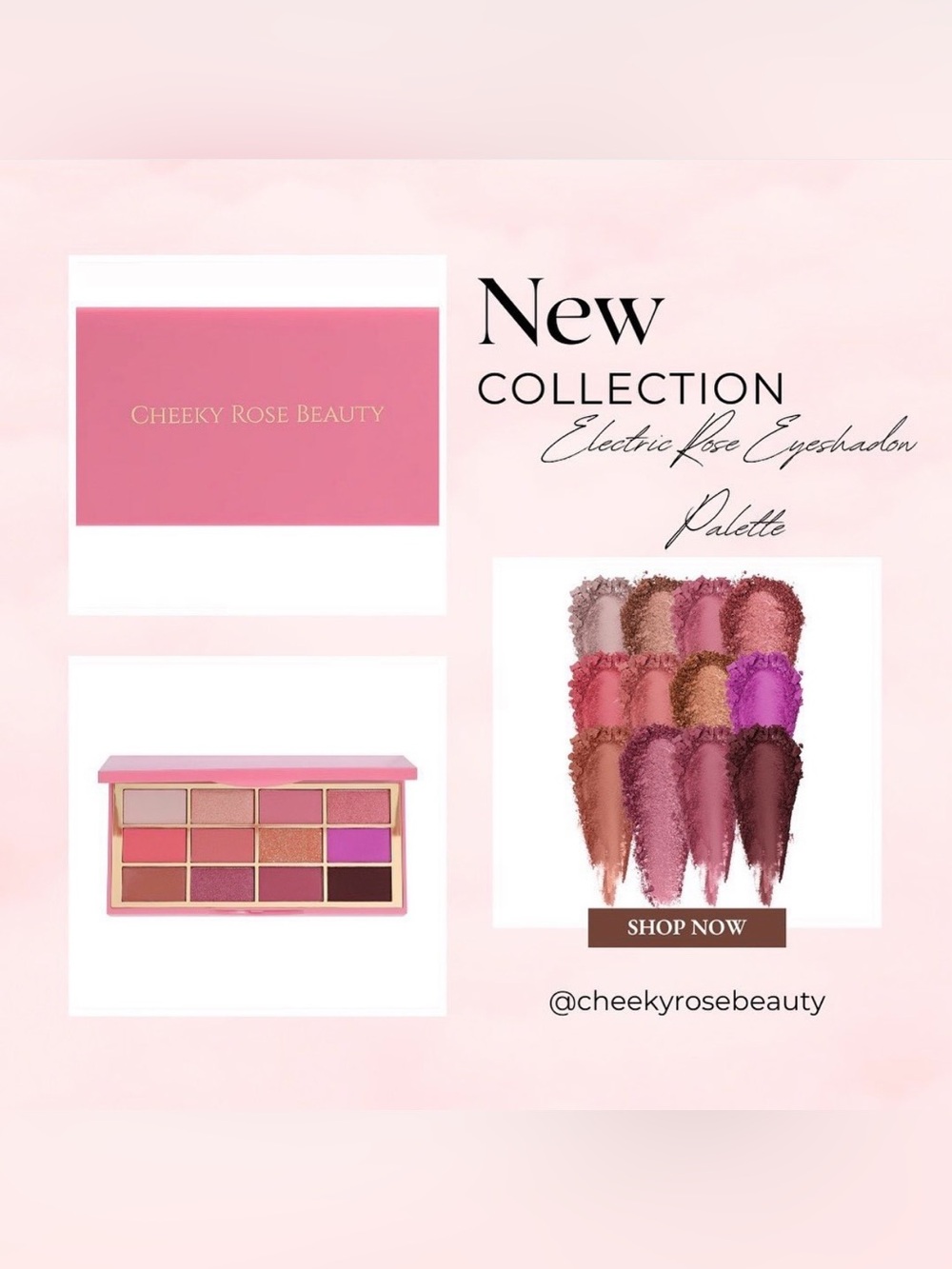 CHEEKY ROSE BEAUTY “ELECTRIC ROSE” FACE PALETTE - BRAND NEW!